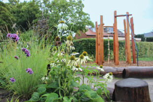 Speeltoestel-beplanting-groen-schoolplein-Uniek-Speelprojecten