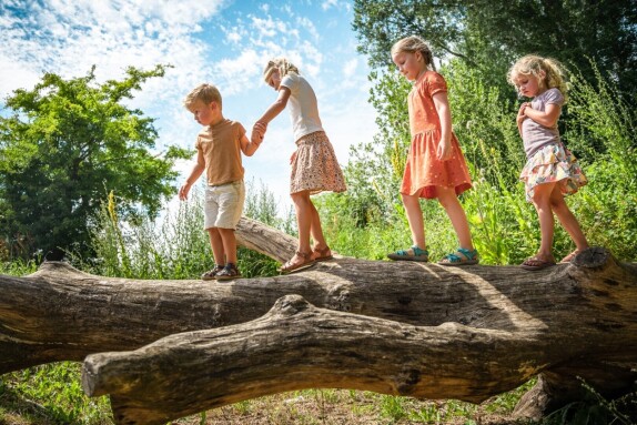 Speelboom-boomstam-speeltoestel
